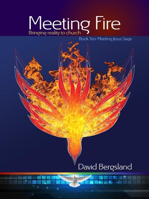 cover image of Meeting Fire